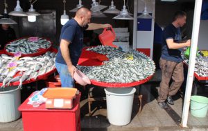 Balık pazarında fiyatlar tatmin etmiyor